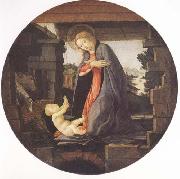 Sandro Botticelli Madonna in Adoration of the Christ Child oil painting artist